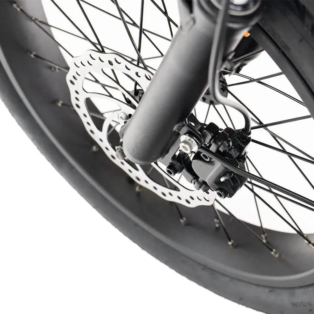 ENGWE LE20 - Longtail - Enkele Accu - Blauw Voltwheelz