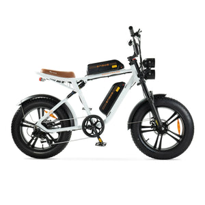 ENGWE M20 - Dubbele Accu Voltwheelz
