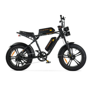 ENGWE M20 - Dubbele Accu Voltwheelz