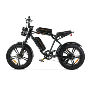 ENGWE M20 - Dubbele Accu Voltwheelz