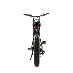 ENGWE M20 - Dubbele Accu Voltwheelz