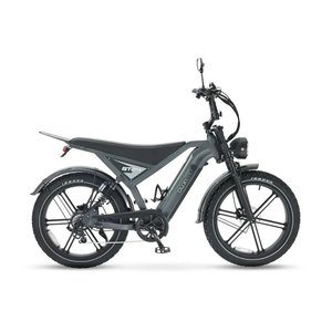 OUXI GT24 fatbike 24 inch grijs